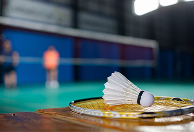Badminton Court